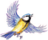 Изображение товара Книга АСТ Русские народные загадки (Нечаев Александр)