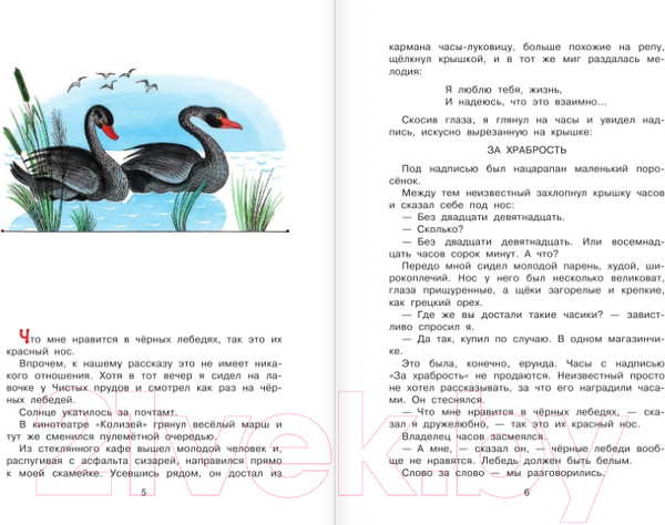 Изображение товара Книга АСТ Приключения Васи Куролесова / 9785171369859 (Чижикова В., Коваль Ю.И.)