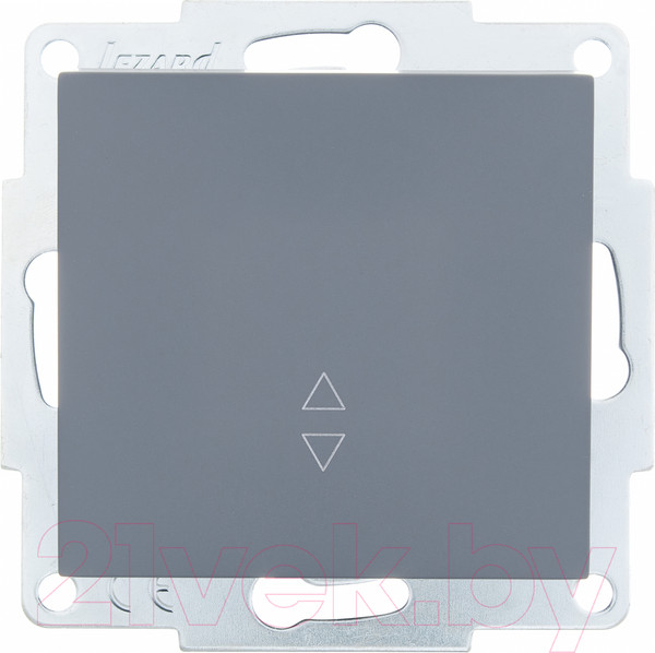 Изображение товара Выключатель Lezard Vesna 742-3488-105