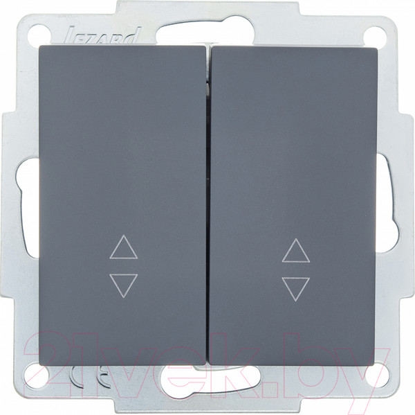 Изображение товара Выключатель Lezard Vesna 742-3488-106