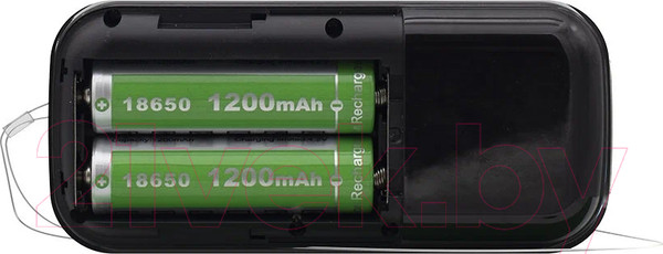 Изображение товара Радиоприемник Ritmix RPR-007 (черный)