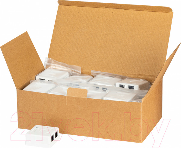 Изображение товара Розетка ЭРА RJ-45 / Б0056902 (30шт)