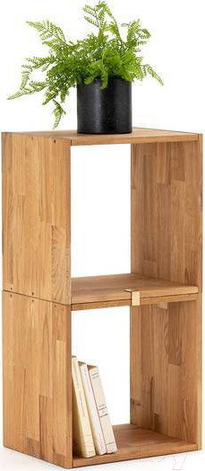 Изображение товара Полка Dipriz Эдгар / Д.90013.2 (дуб/масло)