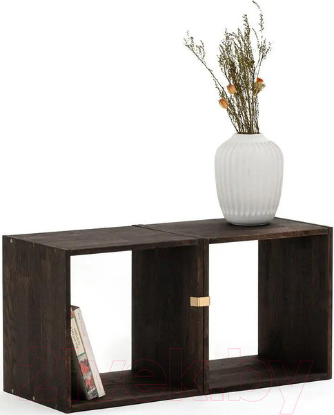 Изображение товара Полка Dipriz Эдгар / Д.90013.3 (черный дуб/бейц масло)