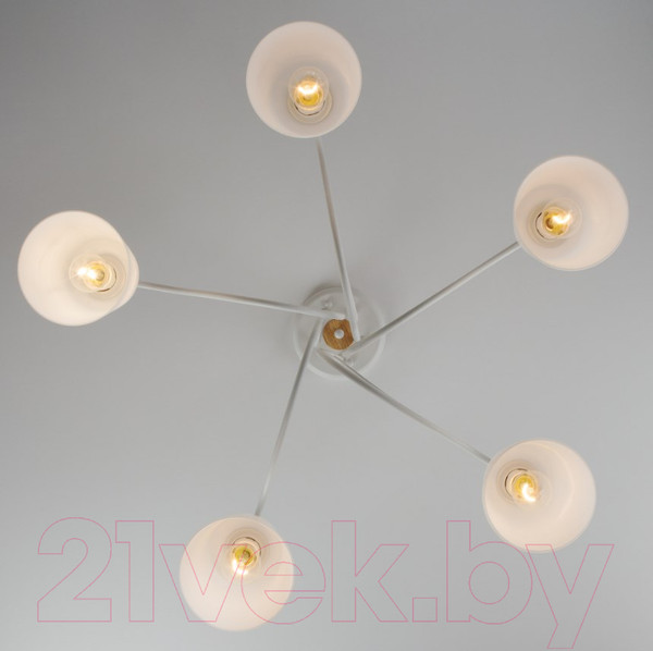 Изображение товара Люстра Евросвет Betty 70062/5 (белый)