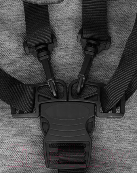 Изображение товара Детская универсальная коляска Rant Dream 2 в 1 (08, серый/темно-зеленый)