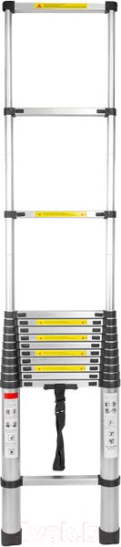 Изображение товара Телескопическая лестница Forsage F-UP540(54179)