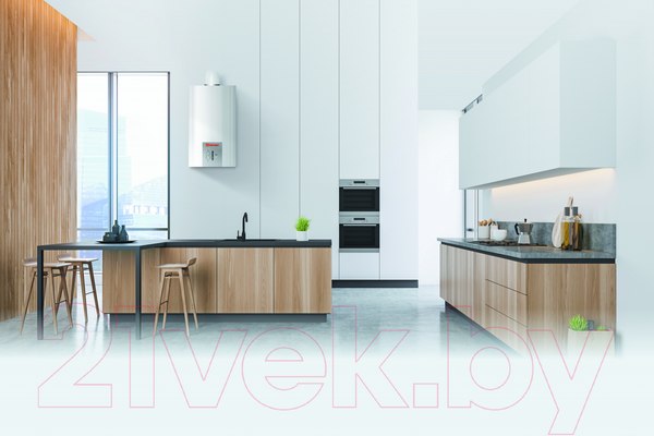 Изображение товара Газовый котел Thermex EuroStyle F 24