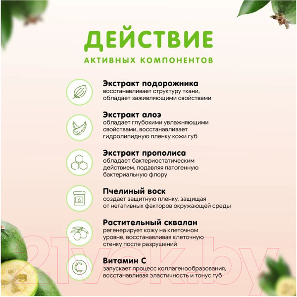 Изображение товара Бальзам для губ Jully Bee Фейхоа (10мл)