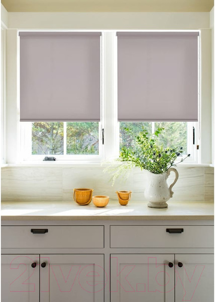 Изображение товара Рулонная штора Эскар Лайт 43x160 / 76810431601 (бежевый)