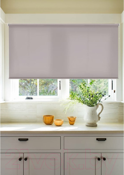 Изображение товара Рулонная штора Эскар Лайт 43x160 / 76810431601 (бежевый)