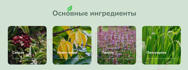 Изображение товара Воск для аромалампы Jully Bee Тайная энергия (70г)