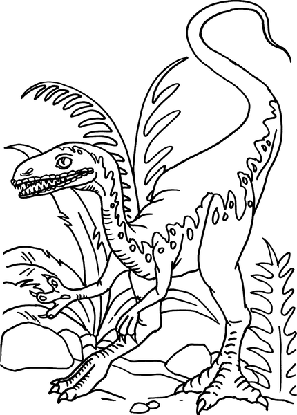 Изображение товара Раскраска АСТ Динозавры. Учимся рисовать, мягкая обложка (Дмитриева Валентина)