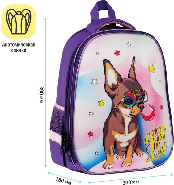 Изображение товара Школьный рюкзак ArtSpace School Friend. Woof / Uni_17754