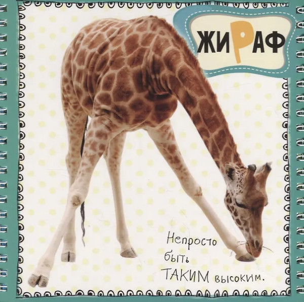 Изображение товара Книга-пазл АСТ Животные, твердая обложка (Станкевич Светлана)