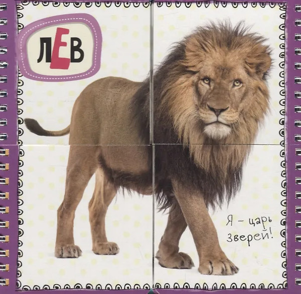 Изображение товара Книга-пазл АСТ Животные, твердая обложка (Станкевич Светлана)