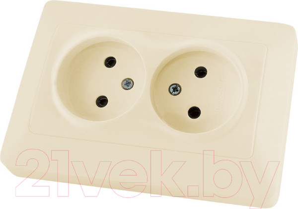 Изображение товара Розетка TDM Ильмень SQ1823-0111 (слоновая кость)