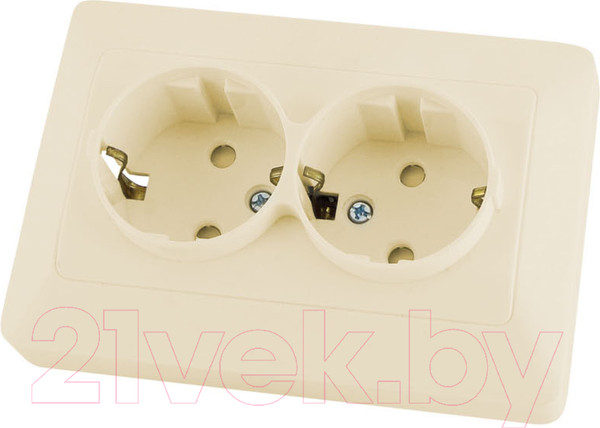 Изображение товара Розетка TDM Ильмень SQ1823-0116 (слоновая кость)
