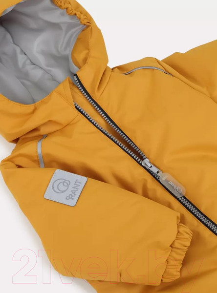 Изображение товара Комбинезон прогулочный детский Rant Fit / 145/0-74 (Honey Yellow, р.74)