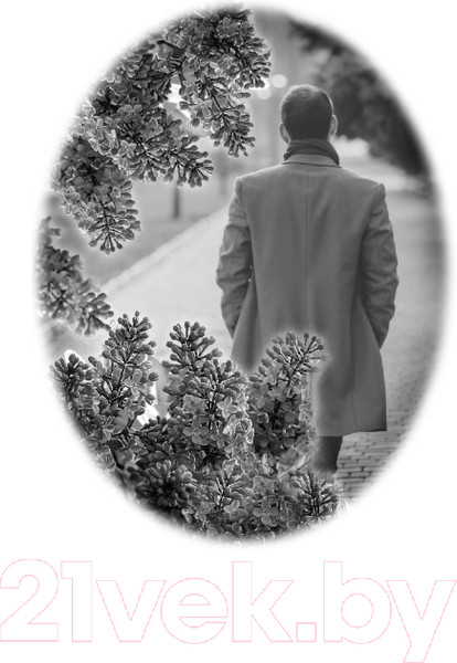 Изображение товара Книга АСТ Нэнси Дрю и дневник незнакомца (Кин К.)