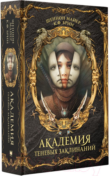 Изображение товара Книга АСТ Академия теневых заклинаний (Майер Ш., Брин К.)