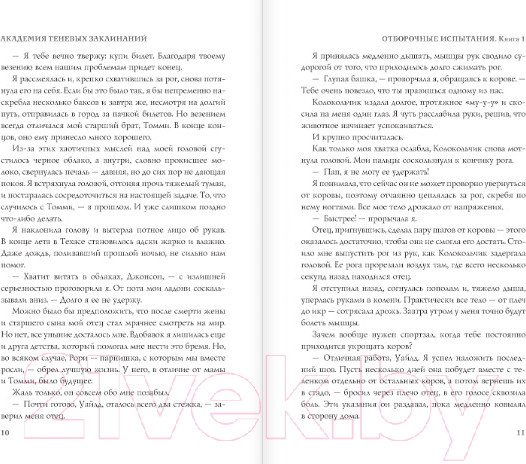 Изображение товара Книга АСТ Академия теневых заклинаний (Майер Ш., Брин К.)