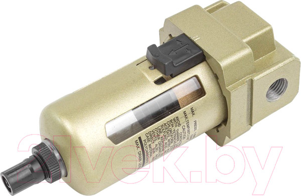 Изображение товара Фильтр для компрессора Forsage F-AF3000-02