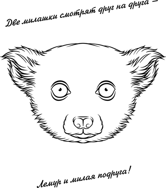 Изображение товара Раскраска-антистресс АСТ Ленивые лемуры: дзен и потягушки каждый день! (Вельш Мила)
