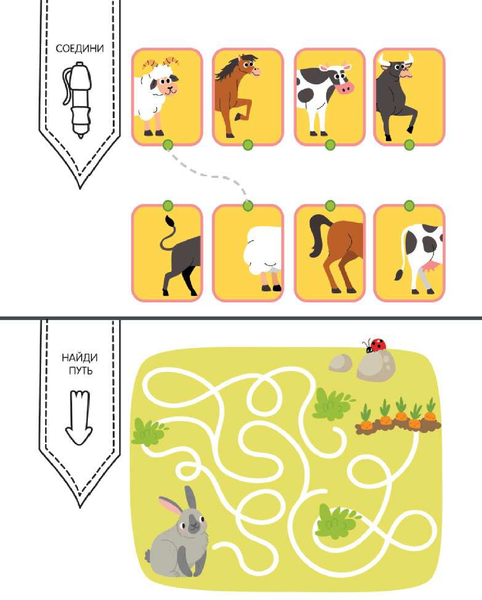 Изображение товара Развивающая книга АСТ Развиваю логику. Задания, понятные без слов, мягкая обложка (Дмитриева Валентина)