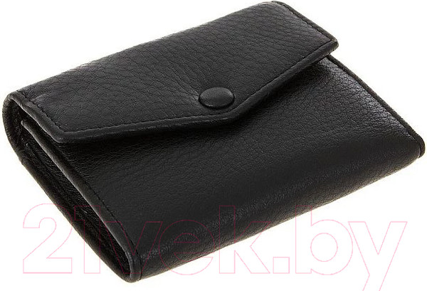Изображение товара Портмоне Francesco Molinary 895-6039BLK (черный)