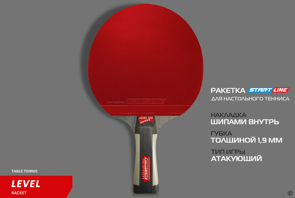 Изображение товара Ракетка для настольного тенниса Start Line Level 500 / 12604