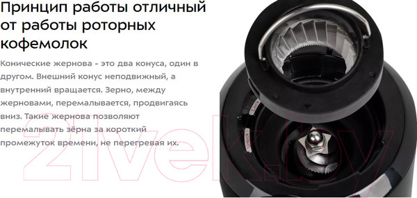 Изображение товара Кофемолка Kitfort KT-7117