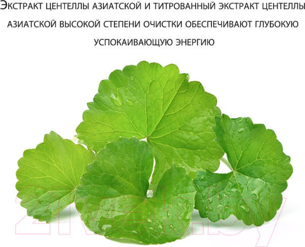 Изображение товара Сыворотка для лица Derma Factory Cica 60.2% Ampoule (30мл)