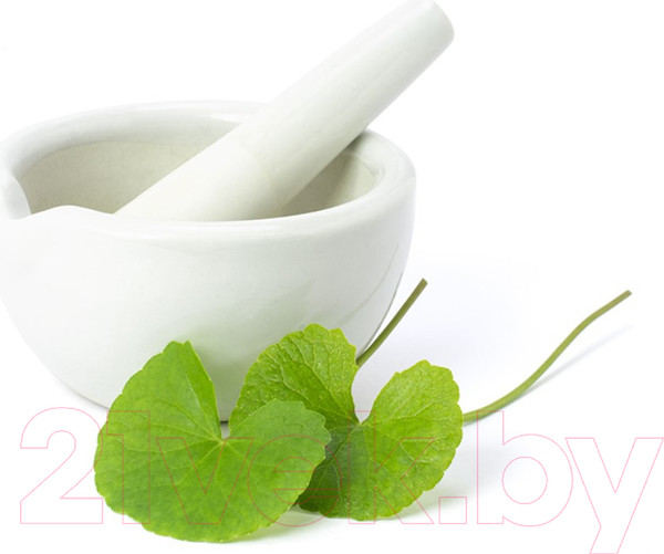 Изображение товара Сыворотка для лица Derma Factory Cica 60.2% Ampoule (30мл)