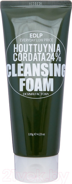 Изображение товара Пенка для умывания Derma Factory Houttuynia Cordata 24% Cleansing Foam (120мл)