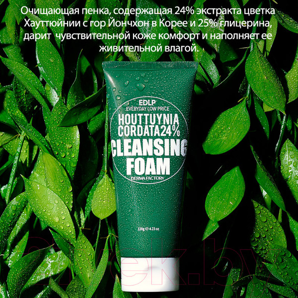 Изображение товара Пенка для умывания Derma Factory Houttuynia Cordata 24% Cleansing Foam (120мл)