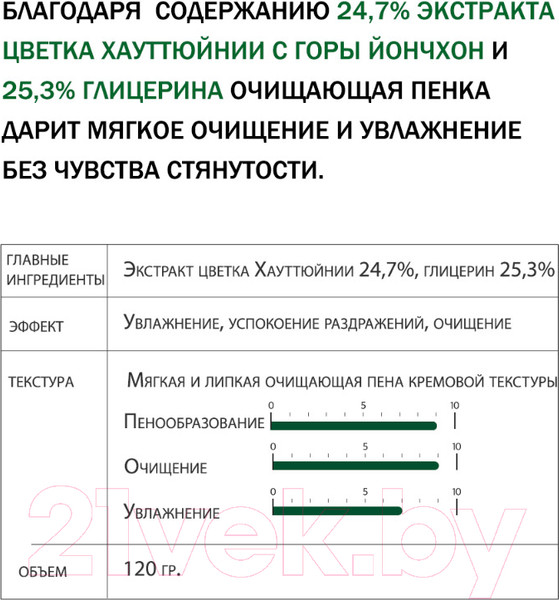 Изображение товара Пенка для умывания Derma Factory Houttuynia Cordata 24% Cleansing Foam (120мл)
