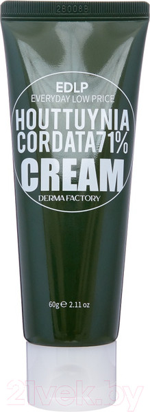Изображение товара Крем для лица Derma Factory Houttuynia Cordata 71% Cream (60мл)