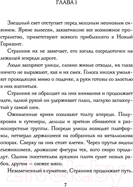 Изображение товара Книга АСТ Странник. Темное фэнтези (Ньюман П.)