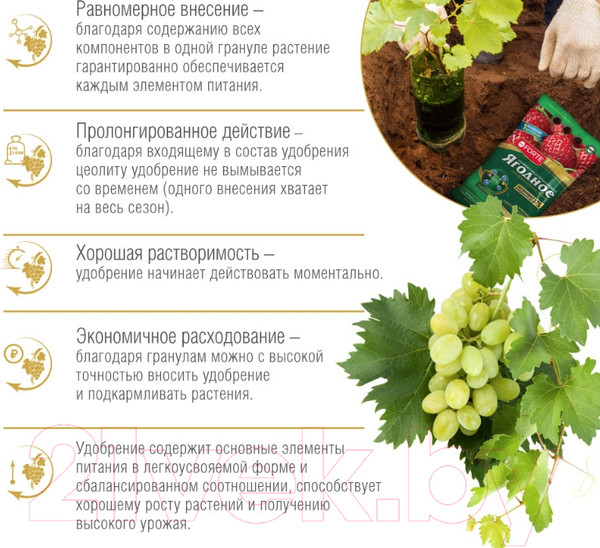 Изображение товара Удобрение Bona Forte Гранулы пролонгированные Ягодное с биодоступным кремнием (2.5кг)