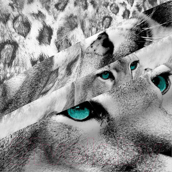 Изображение товара Комплект постельного белья ВАСИЛИСА Пума 4237/1 2.0