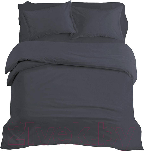 Изображение товара Комплект постельного белья ВАСИЛИСА Графит 2.0 / 274618