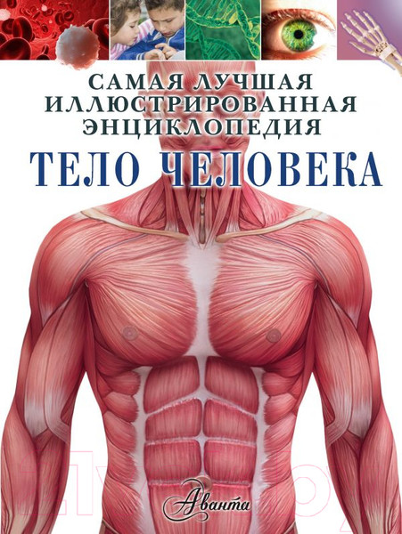 Изображение товара Энциклопедия АСТ Тело человека (Гибберт К.)