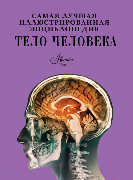 Изображение товара Энциклопедия АСТ Тело человека (Гибберт К.)