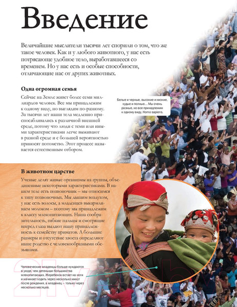 Изображение товара Энциклопедия АСТ Тело человека (Гибберт К.)