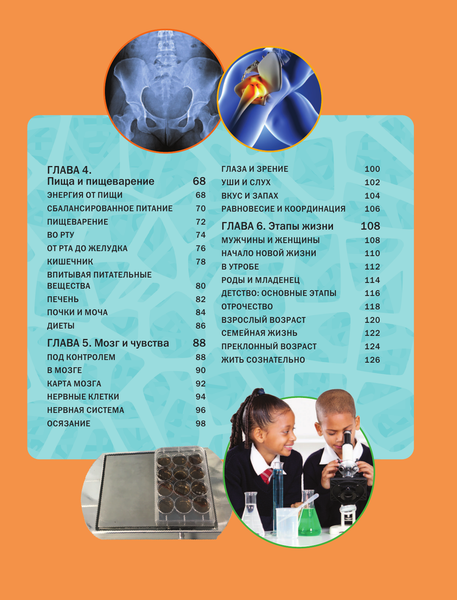 Изображение товара Энциклопедия АСТ Тело человека (Гибберт Клэр)