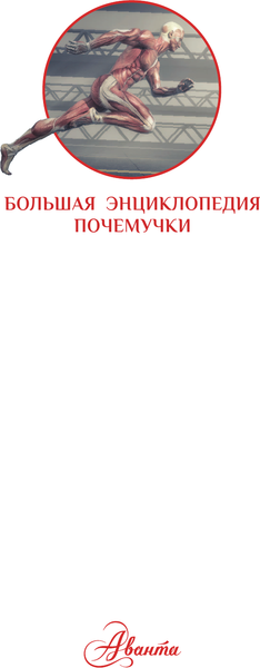 Изображение товара Энциклопедия АСТ Тело человека (Гибберт Клэр)