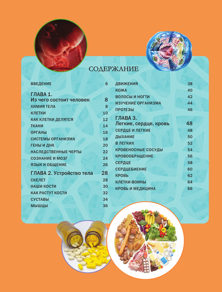 Изображение товара Энциклопедия АСТ Тело человека (Гибберт Клэр)