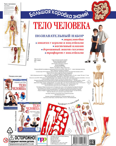 Изображение товара Энциклопедия АСТ Тело человека. Познавательный набор (Торчинская М.О.)