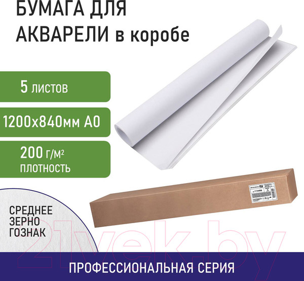 Изображение товара Набор бумаги для рисования Brauberg Art Classic / 114487 (5л)